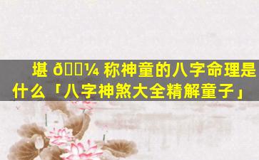 堪 🐼 称神童的八字命理是什么「八字神煞大全精解童子」